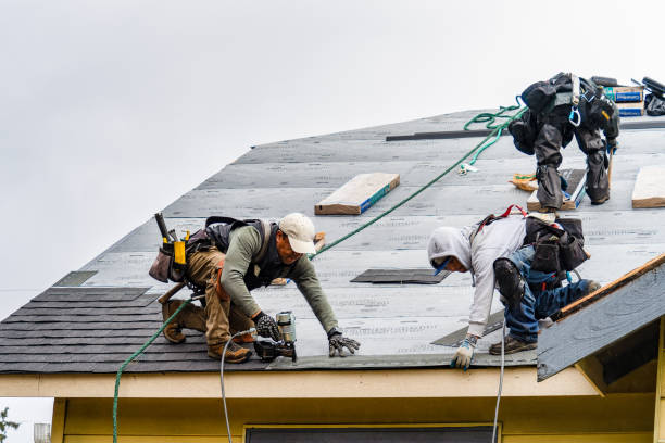 Professional Storm Damage Roof Repair technician working in Perry, IA